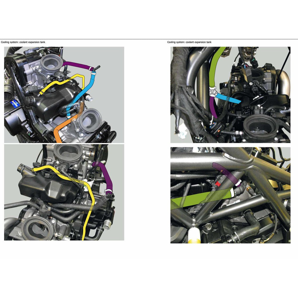 Ducati DIAVEL CARBON Service Repair Workshop Manual and Parts Book and User Manual - page 5