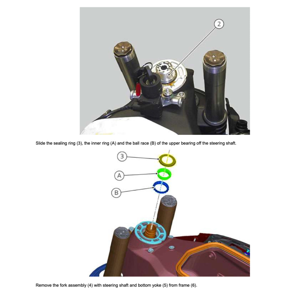 Ducati PANIGALE 955 V2 2020+ Full Manual Set – Repair & Maintenance Manual and Spare Parts Catalog and User Handbook - page 6