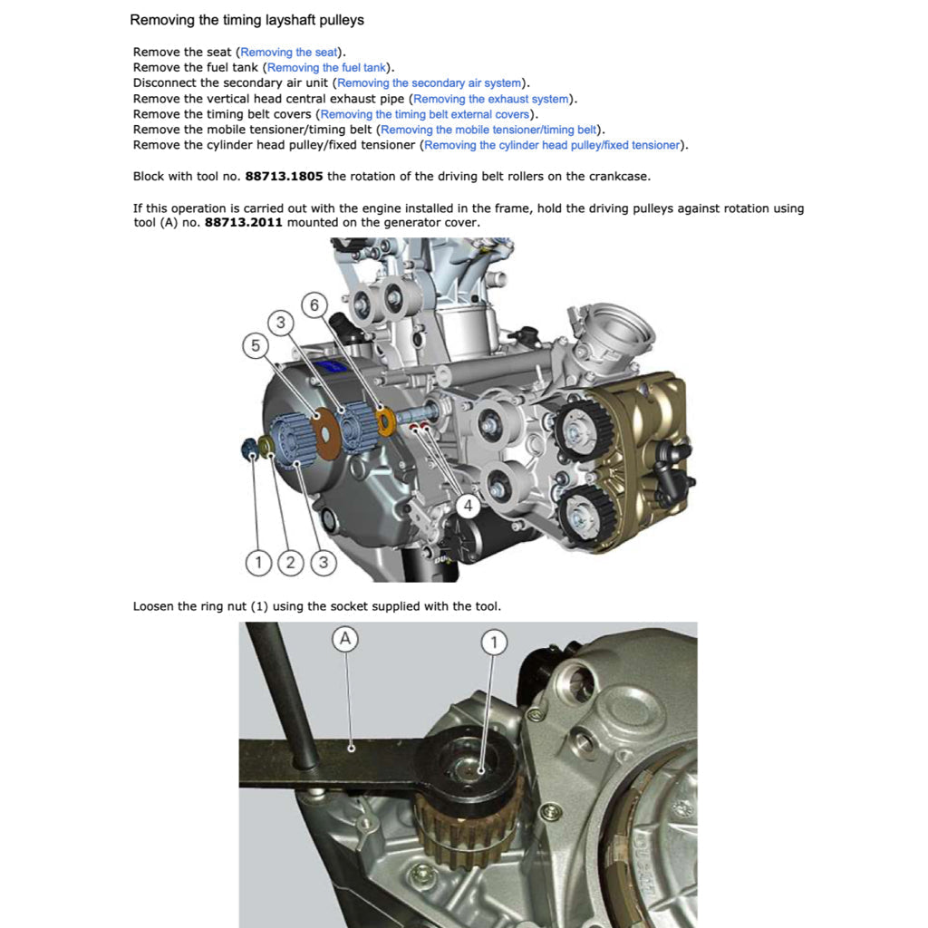 Ducati MONSTER 1200R E4 2016-2020 Full Manual Set – Repair & Maintenance Manual and Spare Parts Catalog and User Handbook - page 4