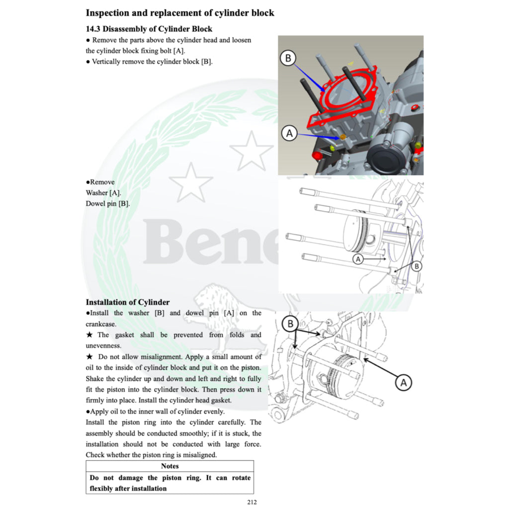 BENELLI TRK 251 2019+ Full Manual Set – Repair & Maintenance Manual and Spare Parts Catalog and User Handbook - page 7