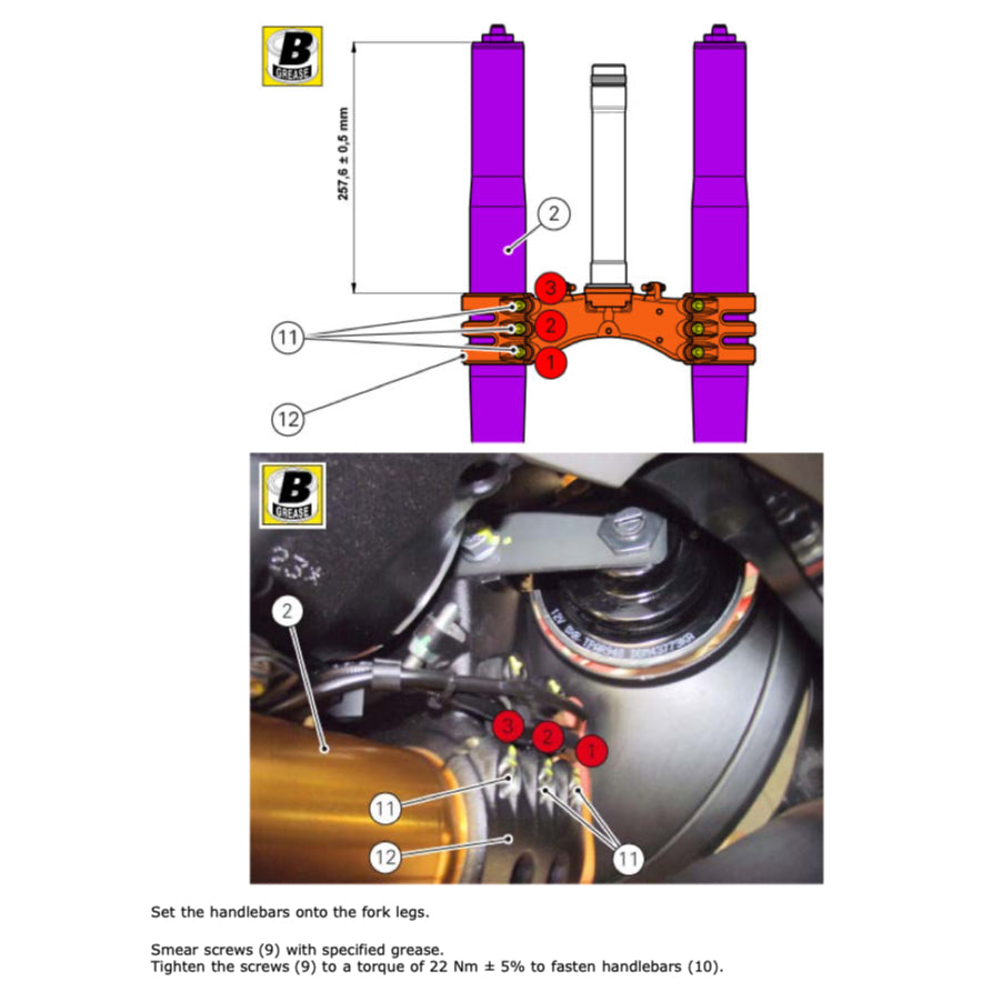 Ducati PANIGALE 899 2013-2015 Full Manual Set – Repair & Maintenance Manual and Spare Parts Catalog and User Handbook - page 5