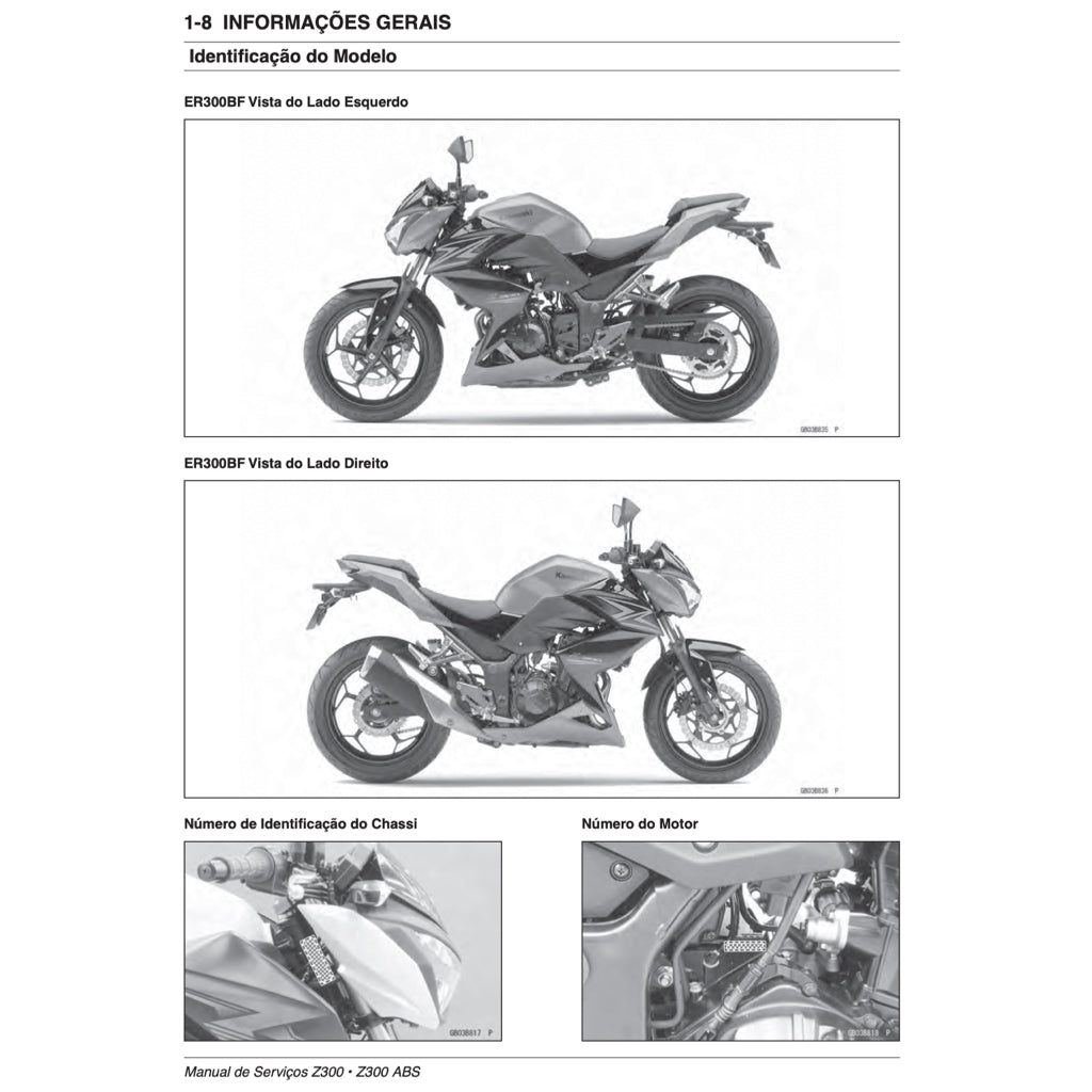 Manual DE SERVIÇO Kawasaki Z300 2015-2019 Full Manual Set – and CATÁLOGO DE PEÇAS and Manual DO PROPRIETÁRIO - page 3