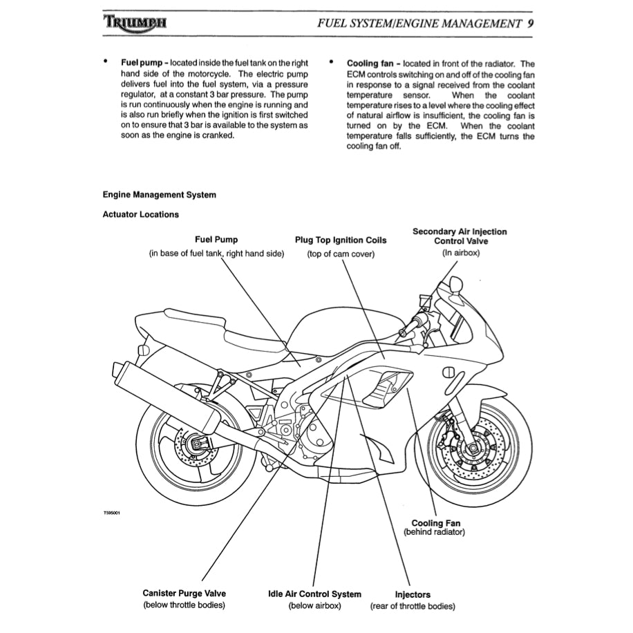 Triumph DAYTONA 955i 2002-2006 Full Manual Set – Repair & Maintenance Manual and User Handbook - page 7