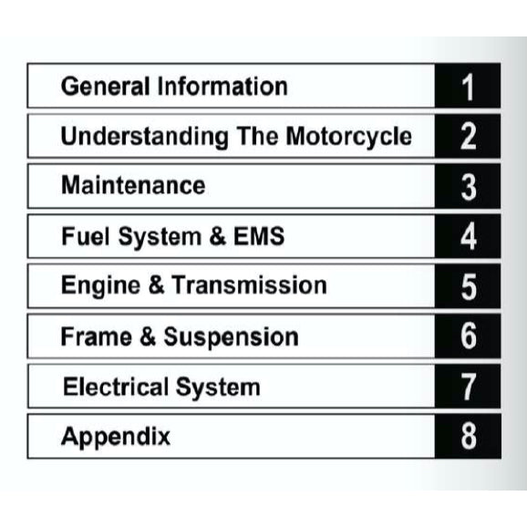 MODENAS DOMINAR 250 DM250 2023+ Full Manual Set – Repair & Maintenance Manual and Spare Parts Catalog and User Handbook - page 2
